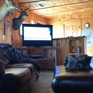 Meet your Posher, Noah